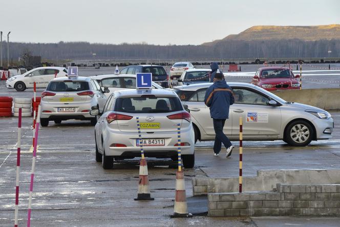 Ile osob zdaje egzamin na prawo jazdy w Radomiu. My już wiemy! 