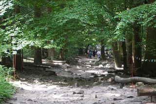 Gołoborza na Łysicy