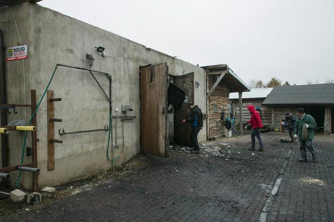 Jeden koń nie przeżył pożaru