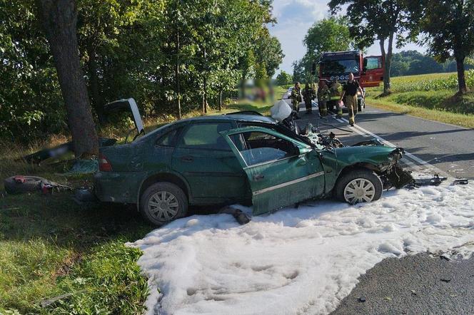 Wariacki rajd kompletnie pijanego kierowcy w Kujawsko-Pomroskiem