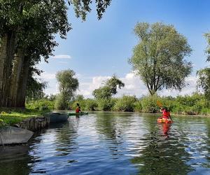 To ostatnia chwila na wakacje w kajaku! Te szlaki znajdują się na Lubelszczyźnie. Poleca je National Geographic!