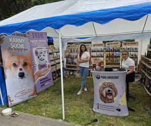 Festiwal Przyjaciół Zwierząt w Olsztynie. Park Centralny opanowały radosne pieski