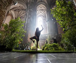 Wystawa LeŚnia w Centrum św. Jana w Gdańsku