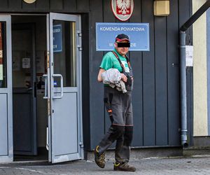 Horror koło Ostródy. Zwierzęta konały bez światła, wody i jedzenia