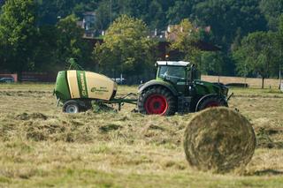 Tak wyglądały sianokosy na Błoniach w 2022 roku