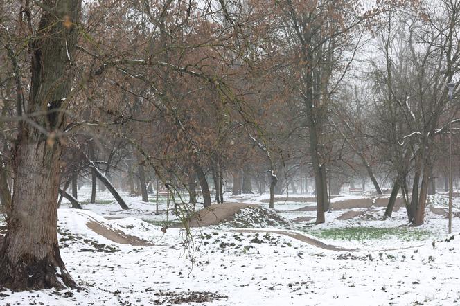 Park Ludowy w Lublinie skąpany we mgle