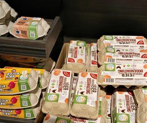 Porównanie cen w polskich i niemieckich sklepach