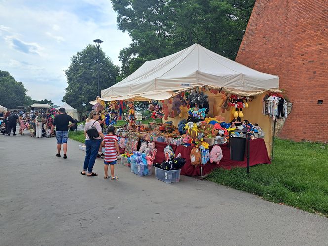 Smoczy Piknik Rodzinny 2025 w Krakowie