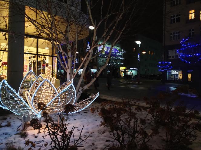 Świąteczne dekoracje w centrum Gdyni