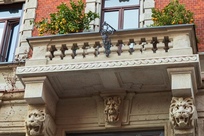 Balkon w stylu francuskim? Te rośliny stworzą niepowtarzalny klimat!