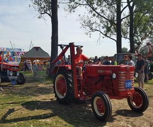 Festiwal starych ciągników w Wilkowicach. Setki maszyn, tysiące widzów i upał