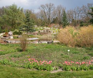 Ogród botaniczny Polskiej Akademii Nauk w Powsinie