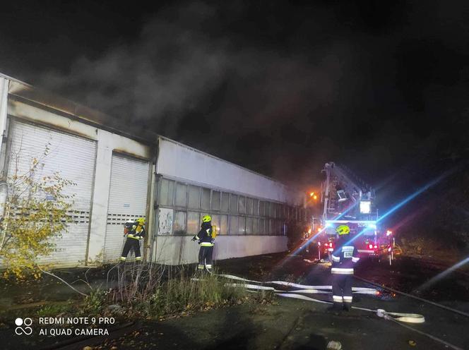 Wielkopolskie/ 12 zastępów straży gasiło pożar hali magazynowej w Obornikach