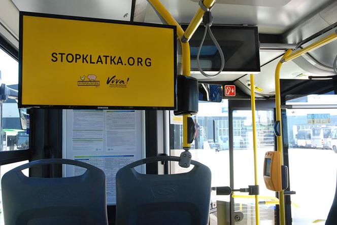 Promocja weganizmu w białostockich autobusach