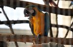 ZooPark ponownie przyciągnął do Targów Lublin tłumy miłośników zwierząt
