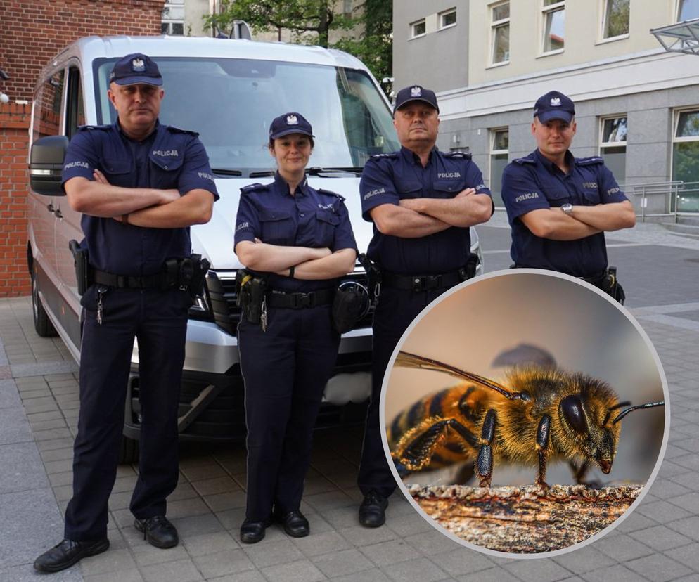 Kierowcę użądliły pszczoły. Był uczulony na jad. Tragedii zapobiegli policjanci