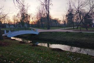 Radom: Rzeka Mleczna zanieczyszczona substancjami ropopochodnymi!