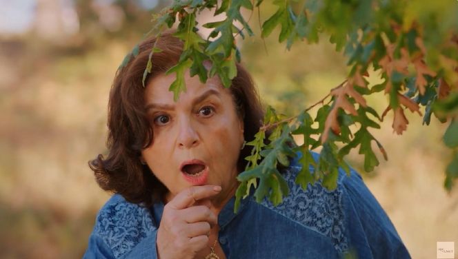 Miłość i nadzieja odc. 259. Naciye