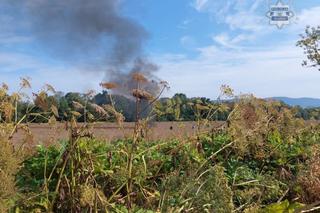 Katastrofa lotnicza w Żywcu