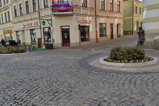 Klomby na ulicy Wałowej w Tarnowie