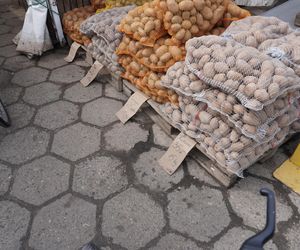 Ceny warzyw i owoców na targowisku w Skarżysku