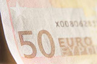 Budowa na kredyt. Jaką trzeba mieć zdolność kredytową, aby otrzymać kredyt w euro?