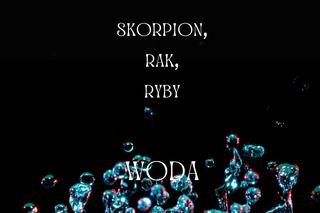 Jaki jest twoj żywioł według znaku zodiaku? Sprawdź!