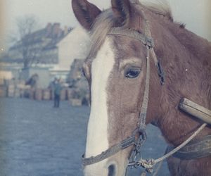 Targowisko Turzyn w latach 1964-1966