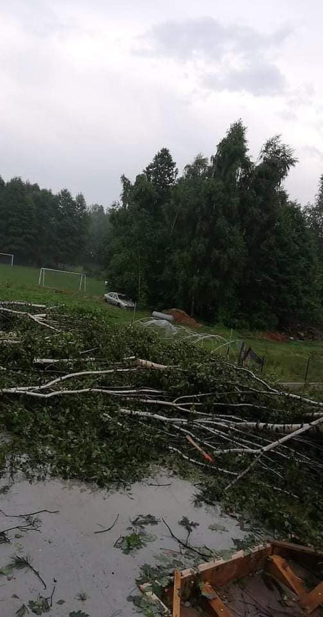 Nawałnica w gminie Lisia Góra łamała drzewa jak zapałki. Potężne zniszczenia 