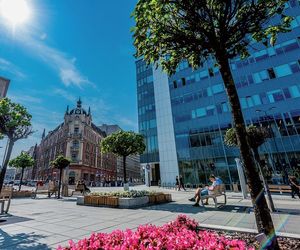 Najdziwniejszy rynek w województwie śląskim. To nie plac, to archipelag wysp
