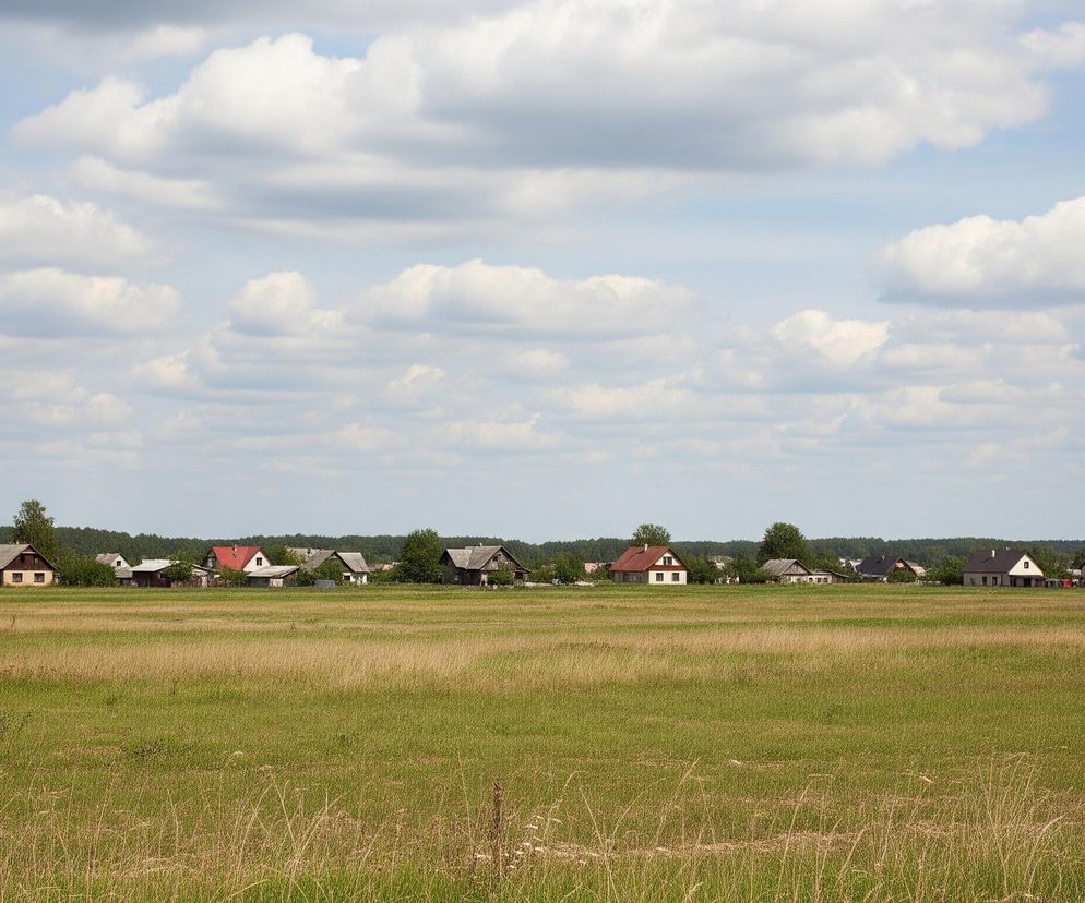 Obszerne, zielone pole rozciąga się na pierwszym planie, z wyraźnymi kępami suchych, jasnobrązowych traw po lewej stronie. W tle widoczna jest linia domów, część z nich posiada czerwone dachy, a inne szare, otoczone drzewami i krzewami, tworząc horyzont przed ciemnozielonym lasem. Nad wszystkim góruje jasne, błękitne niebo, usiane licznymi, białymi, puszystymi chmurami.