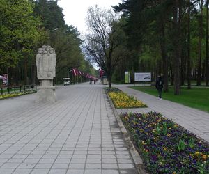 Dzielnica Mezaparks