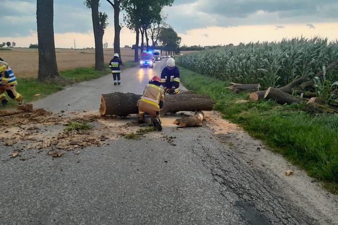 Interwencje po nawałnicach w Nowym Mieście Lubawskim