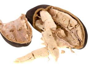 Owoce baobabu - właściwości lecznicze, wartość odżywcza, zastosowania kulinarne