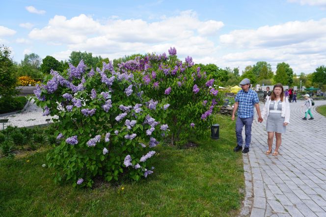 Ogród Botaniczny w Kielcach