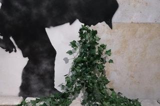 Ferie w Krakowie? Wystawę Banksy'ego, najbardziej tajemniczego artysty na świecie, koniecznie trzeba zobaczyć