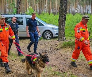 Zmiany w policji. Są nowe zasady poszukiwań zaginionych i Child Alert