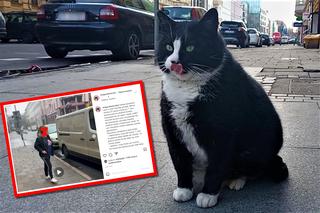 Kot Gacek był w ogromnym niebezpieczeństwie! Próba porwania szczecińskiego celebryty