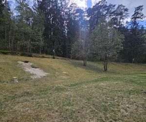 Stadion Leśny w Olsztynie dawniej i dziś. To tam bito rekordy świata w lekkiej atletyce
