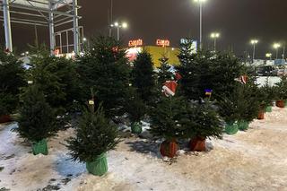 Pogoda na grudzień. Jakie będą święta Bożego Narodzenia i Sylwester w Białymstoku? 