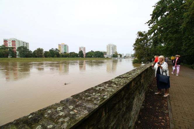 Powódź w Opolu. Stan Odry w środę, 18.09.2024 