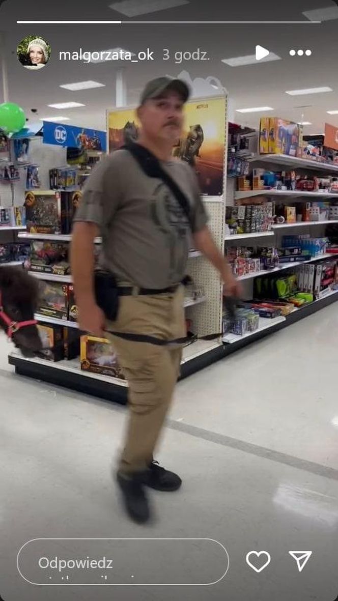 Małgorzata Ostrowska-Królikowska spotkała konia w supermarkecie. Wszystko nagrała!