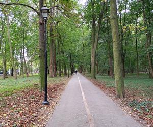 Jesienią w parku miejskim Aleksandria w Siedlcach nie brakuje amatorów spacerów i aktywności na świeżym powietrzu