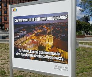 Memy o Bydgoszczy do zobaczenia na ulicach miasta