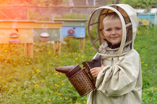 Ukąszenia, użądlenia i ugryzienia, które psują wakacje