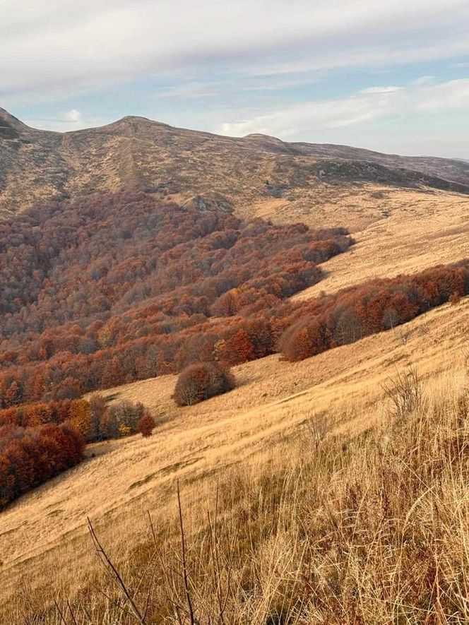 Jesienne Bieszczady