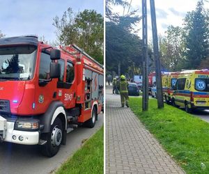 Ciała trzech osób w domu jednorodzinnym w Puławach