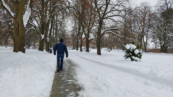 Zamojski Park pod śniegiem
