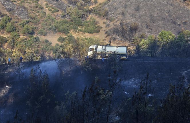 Podpalił Turcję, bo chciał iść do więzienia! Podpalacz kurortów złapany
