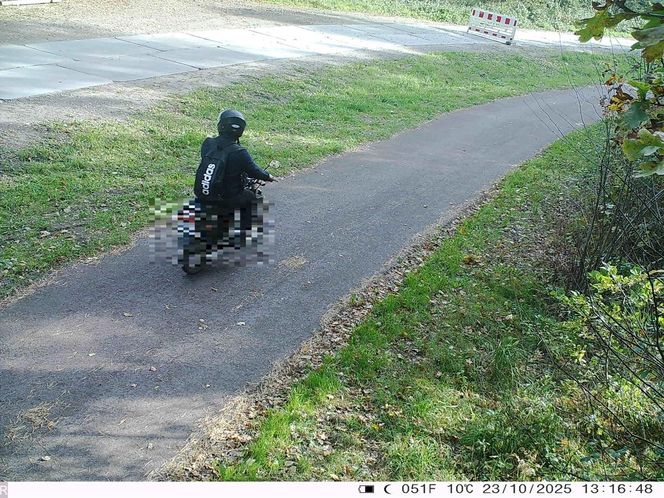 Świadomie łamali przepisy i liczyli, że się nie wyda